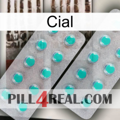 Cial 29